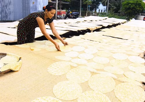 Nguyên liệu chính để làm bánh phồng là gạo nếp Phơi nắng là một trong những công đoạn làm bánh phồng Làng Sơn Đốc hiện có 34 tổ hợp tác và hộ theo nghề, tạo việc làm ổn định cho hàng trăm lao động địa phương Bánh phồng Sơn Đốc đã trở thành một trong những sản vật nổi tiếng của xứ dừa Bến Tre Nguyên liệu chính để làm bánh phồng là gạo nếp Phơi nắng là một trong những công đoạn làm bánh phồng Làng Sơn Đốc hiện có 34 tổ hợp tác và hộ theo nghề, tạo việc làm ổn định cho hàng trăm lao động địa phương Bánh phồng Sơn Đốc đã trở thành một trong những sản vật nổi tiếng của xứ dừa Bến Tre