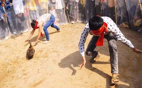 Trò chơi bịt mắt bắt vịt