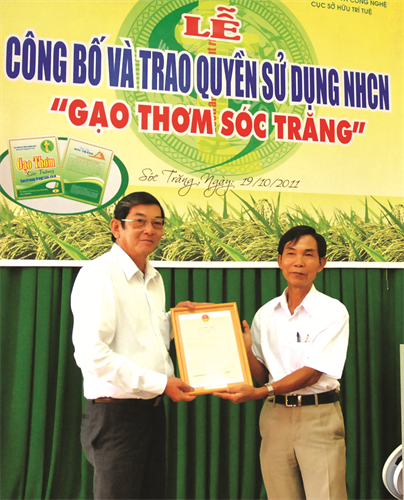 Cục Sở hữu trí tuệ việt Nam trao giấy Chứng nhận nhãn hiệu hàng hóa "gạo thơm Sóc Trăng"