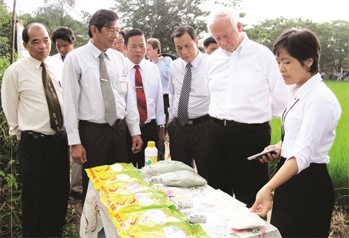 Giới thiệu gạo thơm Sóc Trăng với đối tác nước ngoài