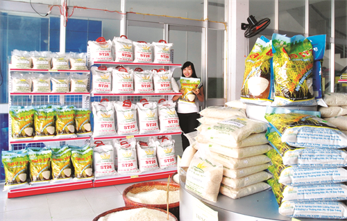 Gạo thơm Sóc Trăng lọt vào danh sách 100 thương hiệu, nhãn hiệu nổi tiếng