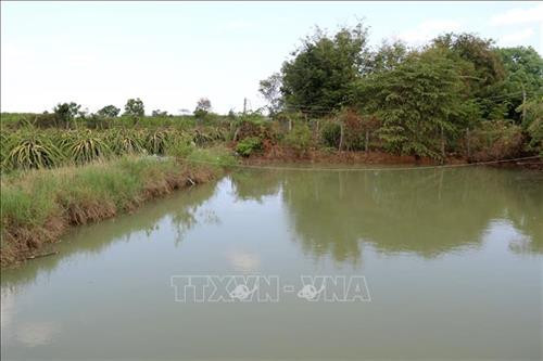 Người dân thôn Dân Trí phải tận dụng nguồn nước ít ỏi còn lại trong các ao, hồ để phục vụ sản xuất. Ảnh: Nguyễn Thanh – TTXVN