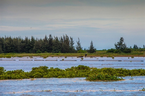 Vườn Quốc gia Xuân Thủy là nơi thiên nhiên và con người giao hòa. Vườn Quốc gia Xuân Thủy là nơi thiên nhiên và con người giao hòa.
