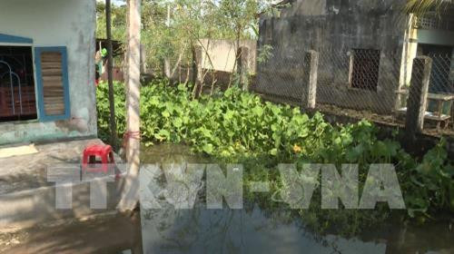 Nhà dân trong khu dân cư vượt lũ. Ảnh: Lê Sen - TTXVN Nhà dân trong khu dân cư vượt lũ. Ảnh: Lê Sen - TTXVN