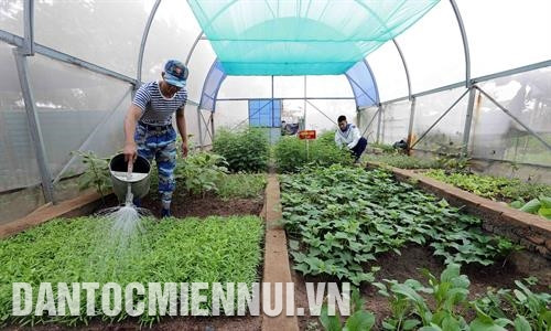 Chiến sĩ đảo Cô Lin ngày đêm nâng cao cảnh giác, canh giữ biển trời của Tổ quốc. Ảnh: Trần Việt Một buổi huấn luyện đội ngũ của cán bộ, chiến sĩ đảo Trường Sa Lớn. Ảnh: Trần Việt Chùa trên đảo Song Tử Tây có phong cách chùa Việt truyền thống, là ngôi chùa lớn nhất ở huyện đảo Trường Sa. Ảnh: Trần Việt Chùa trên đảo Song Tử Tây có phong cách chùa Việt truyền thống, là ngôi chùa lớn nhất ở huyện đảo Trường Sa Dự án trồng rau xanh nhà kính được triển khai tại đảo Sơn Ca với 2 khu nhà kính do Viện khoa học nông nghiệp miền Nam thực hiện và bàn giao cho đơn vị, đảm bảo cơ bản nhu cầu về rau xanh cho đảo Sơn Ca cũng như các đảo khác ở Trường Sa. Ảnh: Trần Việt Các chiến sĩ đảo Trường Sa Lớn duy trì thường xuyên các hoạt động thể thao để rèn luyện sức khỏe và nâng cao đời sống tinh thần. Ảnh: Trần Việt Chiến sĩ đảo Cô Lin ngày đêm nâng cao cảnh giác, canh giữ biển trời của Tổ quốc. Ảnh: Trần Việt Một buổi huấn luyện đội ngũ của cán bộ, chiến sĩ đảo Trường Sa Lớn. Ảnh: Trần Việt Chùa trên đảo Song Tử Tây có phong cách chùa Việt truyền thống, là ngôi chùa lớn nhất ở huyện đảo Trường Sa. Ảnh: Trần Việt Chùa trên đảo Song Tử Tây có phong cách chùa Việt truyền thống, là ngôi chùa lớn nhất ở huyện đảo Trường Sa Dự án trồng rau xanh nhà kính được triển khai tại đảo Sơn Ca với 2 khu nhà kính do Viện khoa học nông nghiệp miền Nam thực hiện và bàn giao cho đơn vị, đảm bảo cơ bản nhu cầu về rau xanh cho đảo Sơn Ca cũng như các đảo khác ở Trường Sa. Ảnh: Trần Việt Các chiến sĩ đảo Trường Sa Lớn duy trì thường xuyên các hoạt động thể thao để rèn luyện sức khỏe và nâng cao đời sống tinh thần. Ảnh: Trần Việt