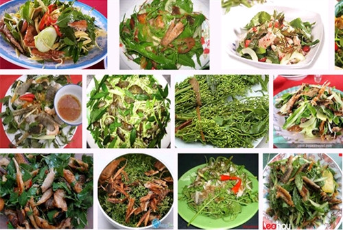 Ngọt đắng gỏi sầu đâu An Giang ảnh 2 Ngọt đắng gỏi sầu đâu An Giang ảnh 2