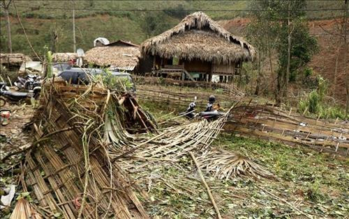 Thiệt hại về hoa màu tại xã Phúc Khánh, huyện Bảo Yên, tỉnh Lào Cai. Ảnh: Quốc Khánh - TTXVN Thiệt hại về hoa màu tại xã Phúc Khánh, huyện Bảo Yên, tỉnh Lào Cai. Ảnh: Quốc Khánh - TTXVN