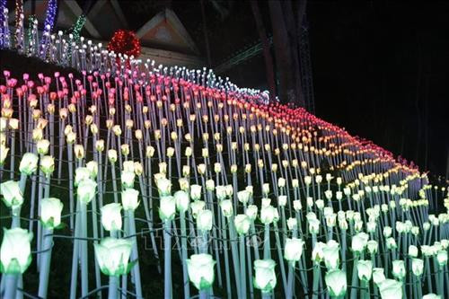 Những bông hồng rực rỡ sắc màu trong đêm. Ảnh: Việt Dũng - TTXVN Những bông hồng rực rỡ sắc màu trong đêm. Ảnh: Việt Dũng - TTXVN