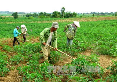 Nông dân buôn Lê Diêm, thị trấn Hai Riêng, huyện Sông Hinh (Phú Yên) trồng sắn. Ảnh: Thế Lập – TTXVN Nông dân buôn Lê Diêm, thị trấn Hai Riêng, huyện Sông Hinh (Phú Yên) trồng sắn. Ảnh: Thế Lập – TTXVN