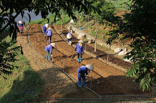 Kiểm tra xây dựng nông thôn mới, thăm các mô hình sản xuất nông nghiệp công nghệ cao tại huyện Thạch Thất ảnh 17