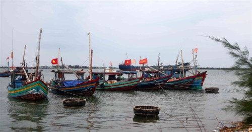 Tàu thuyền của ngư dân neo đậu tránh bão số 3 dọc ven biển Cửa Lò chiều 18/8/2016. Ảnh: Thanh Tùng-TTXVN Tàu thuyền của ngư dân neo đậu tránh bão số 3 dọc ven biển Cửa Lò chiều 18/8/2016. Ảnh: Thanh Tùng-TTXVN