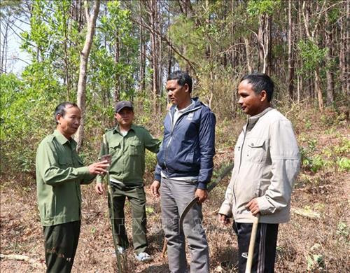 Các đơn vị chủ rừng thường xuyên tuyên truyền cho người dân việc hạn chế đốt dọn rẫy trong mùa nắng nóng, khô hanh. Ảnh: Hồng Điệp - TTXVN Các đơn vị chủ rừng thường xuyên tuyên truyền cho người dân việc hạn chế đốt dọn rẫy trong mùa nắng nóng, khô hanh. Ảnh: Hồng Điệp - TTXVN