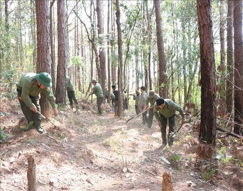 Lực lượng kiểm lâm, chủ rừng tiến hành làm đường ranh cản lửa tại các khu vực rừng có nguy cơ cháy cao. Ảnh: Hồng Điệp - TTXVN Lực lượng kiểm lâm, chủ rừng tiến hành làm đường ranh cản lửa tại các khu vực rừng có nguy cơ cháy cao. Ảnh: Hồng Điệp - TTXVN