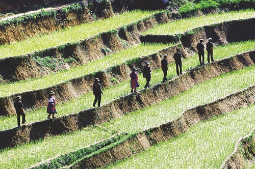 Chiến sĩ Đồn Biên phòng Pha Long cùng dân quân tuần tra biên giới