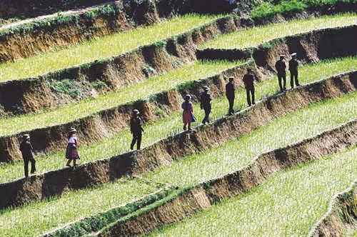 Chiến sĩ Đồn Biên phòng Pha Long cùng dân quân tuần tra biên giới