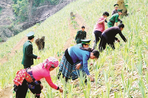 Bộ đội Biên phòng tỉnh Lào Cai thực hiện "bốn cùng" (cùng ăn, cùng ở, cùng làm, cùng nói tiếng dân tộc) với đồng bào