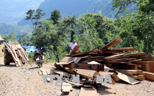 Bà con bản Sáng Tùng đang vận chuyển vật liệu về để chuẩn bị xây dựng lại nhà mới. Ảnh: Công Tuyên-TTXVN