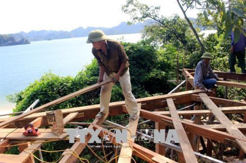 Thi công các đường đi bằng gỗ đảm bảo việc bảo vệ tuyệt đối thực vật, địa chất của Soi Sim. Ảnh: Văn Đức - TTXVN