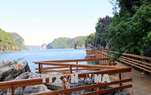 Các đường đi trên đảo Soi Sim đều được làm bằng gỗ. Ảnh: Văn Đức - TTXVN