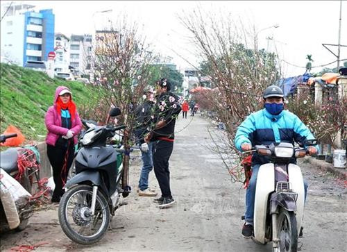 Người dân mua đào sớm tại chợ hoa Quảng An, quận Tây Hồ. Ảnh: Khánh Hòa - TTXVN