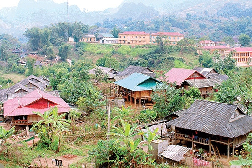 Ấm no hiện hữu trong bản tái định cư. Ảnh: baosonla Ấm no hiện hữu trong bản tái định cư. Ảnh: baosonla