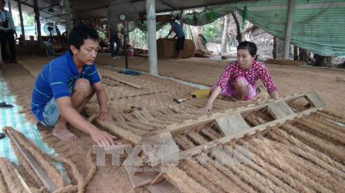 Làng nghề ở huyện Càng Long (Trà Vinh) se xơ dừa dệt thảm, tạo việc làm cho khoảng 2.300 lao động. Ảnh: Thanh Hoà - TTXVN