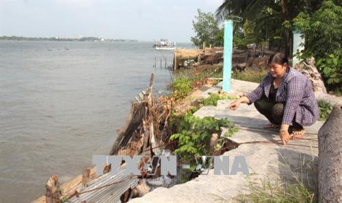 Người dân dùng dây thép để chằng chéo giữ đất. Ảnh: Lê Thúy Hằng-TTXVN Người dân dùng dây thép để chằng chéo giữ đất. Ảnh: Lê Thúy Hằng-TTXVN