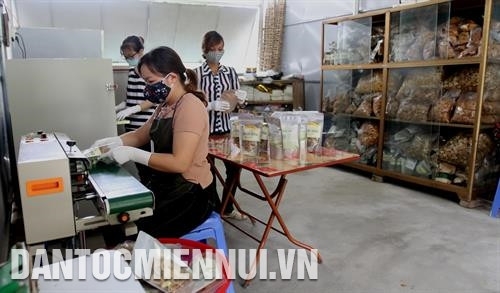Xưởng sản xuất nông sản sấy khô của HTX Thiên An, thôn Nà Ít. xã Vi Hương