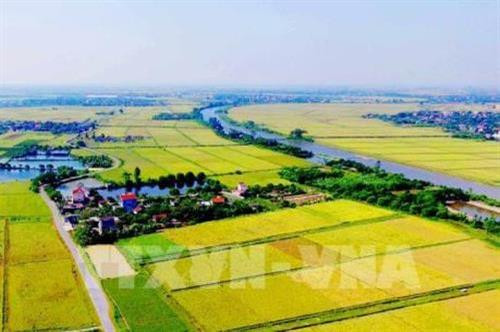 Vùng Tây Bắc vượt khó để tái cơ cấu ngành nông nghiệp. Ảnh: TTXVN