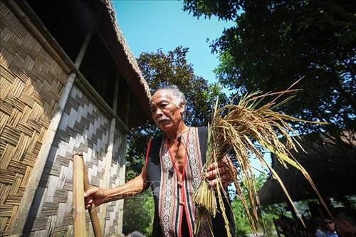 Già làng mang cây lúa mới biểu tượng cho thần lúa về nhà rông,rước hồn lúa về với dân làng, với nhà của mình chính là ước nguyện cầu mong cho dân làng không thiếu cái lúa để ăn, cuộc sống luôn no đủ, sung túc. Ảnh: Trọng Đạt -