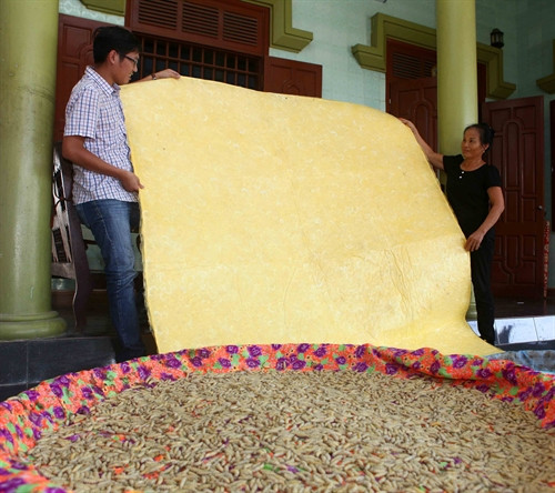 Tấm thảm tằm tự đan có hai mặt, một mặt vàng óng là mặt chính. Tấm thảm tằm tự đan có hai mặt, một mặt vàng óng là mặt chính.