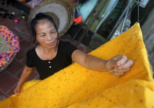 Mô hình nuôi tằm mới không vất vả và có hiệu quả, là hướng đi mới cho bà con nuôi tằm nơi đây Mô hình nuôi tằm mới không vất vả và có hiệu quả, là hướng đi mới cho bà con nuôi tằm nơi đây