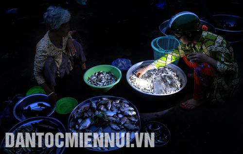 Các bạn hàng lựa chọn những loại cá tươi ngon tại phiên chợ