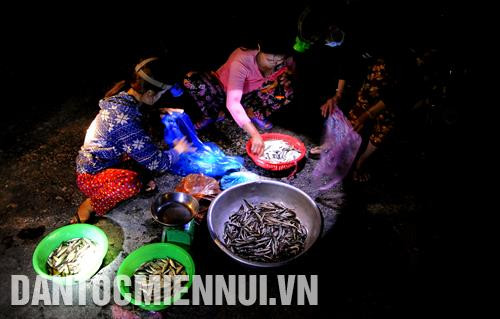 Các tiểu thương, bạn hàng lựa chọn các loại cá của các ngư dân vừa mới đáng bắt tại một góc chợ