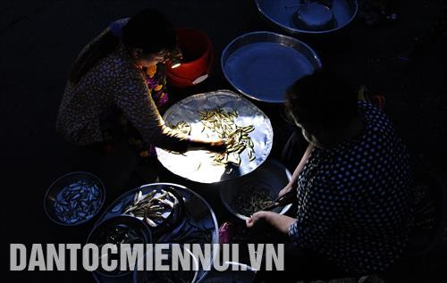 Người mua lựa chọn các mặt hàng cá tại một góc chợ "âm phủ"