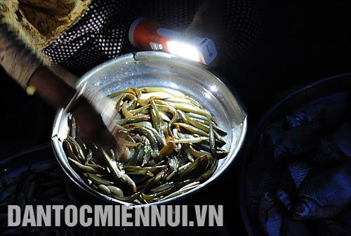 Người mua và bán trong phiên chợ "âm phủ" chọn hàng, ngả giá qua ánh sáng của đèn pin