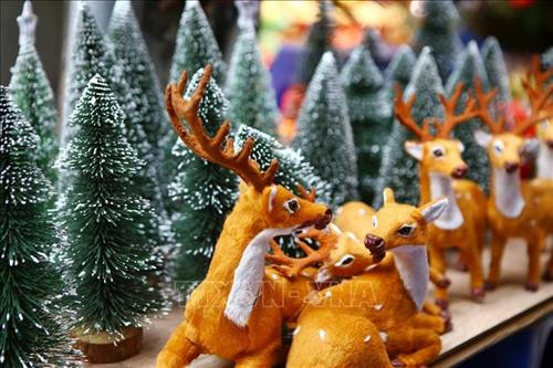 Hà Nội: Nhộn nhịp thị trường mùa Giáng sinh 2018 ảnh 6