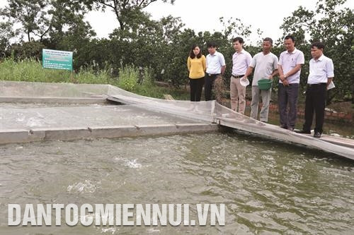 Lãnh đạo Sở Nông nghiệp và Phát triển nông thôn Hà Nội tham quan mô hình nuôi cá chép áp dụng công nghệ “sông trong ao” của gia đình ông Phan Nhân Lợi ở thôn Đa Phúc, xã Sài Sơn, huyện Quốc Oai. Ảnh: Hoàng Hà