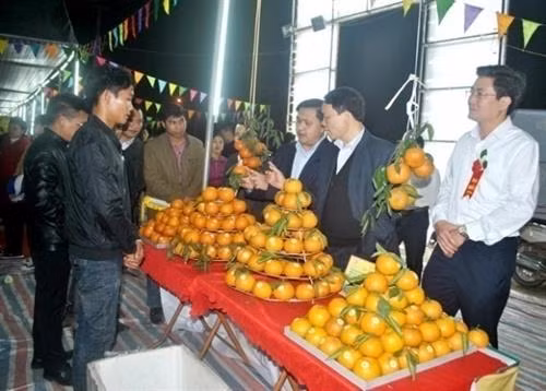 Các đại biểu tham quan gian hàng tại hội chợ. Ảnh: Báo Hà Giang Các đại biểu tham quan gian hàng tại hội chợ. Ảnh: Báo Hà Giang