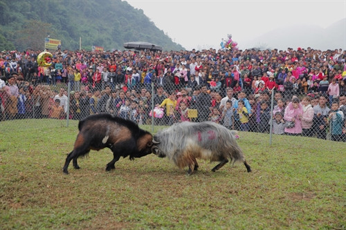 Lễ hội Động Tiên - Chợ quê Hàm Yên là lễ hội truyền thống, được tổ chức vào mùng 9 tháng Giêng âm lịch hàng năm. Ảnh: Phạm Minh Lễ hội Động Tiên - Chợ quê Hàm Yên được tổ chức với quy mô lớn, thu hút đông đảo đồng bào các dân tộc trong tỉnh và du khách đến tham quan, tìm về du xuân. Ảnh: Nam Phong Chợ quê Hàm Yên là nơi giới thiệu và bày bán những sản phẩm truyền thống của địa phương. Ảnh: Nam Phong Tại lễ hội Động Tiên và Chợ quê Hàm Yên còn diễn ra các trò chơi dân gian như: chọi dê, chọi gà, leo cột mỡ, bịt mắt bắt vịt, thi trâu khỏe, trâu đẹp, trâu nhanh... Ảnh: Nam Phong Lễ hội Động Tiên và Chợ quê Hàm Yên đã góp phần bảo tồn, giữ gìn bản sắc văn hóa truyền thống và là nơi gặp gỡ của bà con các dân tộc trên địa bàn tỉnh Tuyên Quang vào mỗi dịp đầu xuân. Ảnh: Phạm Minh Lễ hội Động Tiên - Chợ quê Hàm Yên là lễ hội truyền thống, được tổ chức vào mùng 9 tháng Giêng âm lịch hàng năm. Ảnh: Phạm Minh Lễ hội Động Tiên - Chợ quê Hàm Yên được tổ chức với quy mô lớn, thu hút đông đảo đồng bào các dân tộc trong tỉnh và du khách đến tham quan, tìm về du xuân. Ảnh: Nam Phong Chợ quê Hàm Yên là nơi giới thiệu và bày bán những sản phẩm truyền thống của địa phương. Ảnh: Nam Phong Tại lễ hội Động Tiên và Chợ quê Hàm Yên còn diễn ra các trò chơi dân gian như: chọi dê, chọi gà, leo cột mỡ, bịt mắt bắt vịt, thi trâu khỏe, trâu đẹp, trâu nhanh... Ảnh: Nam Phong Lễ hội Động Tiên và Chợ quê Hàm Yên đã góp phần bảo tồn, giữ gìn bản sắc văn hóa truyền thống và là nơi gặp gỡ của bà con các dân tộc trên địa bàn tỉnh Tuyên Quang vào mỗi dịp đầu xuân. Ảnh: Phạm Minh