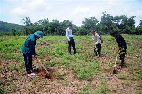 Cán bộ Ban Quản lý rừng phòng hộ Vân Canh hướng dẫn nhân dân chăm sóc diện tích rừng trồng năm 2016. Cán bộ Ban Quản lý rừng phòng hộ Vân Canh hướng dẫn nhân dân chăm sóc diện tích rừng trồng năm 2016.