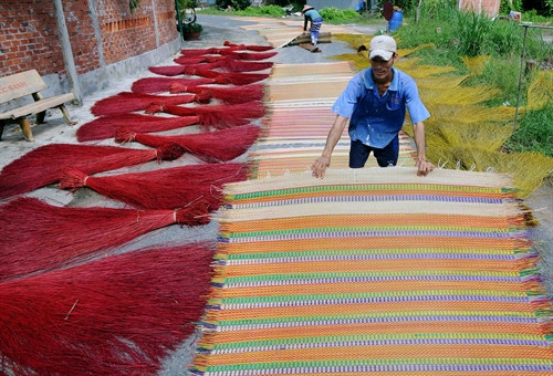 Phơi chiếu và nguyên liệu dệt tại làng nghề chiếu Định Yên.