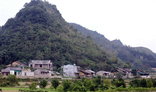 Nhờ trồng quýt, những xóm làng ở biên giới xã Quang Hán đang từng ngày thay da đổi thịt. Nhờ trồng quýt, những xóm làng ở biên giới xã Quang Hán đang từng ngày thay da đổi thịt.