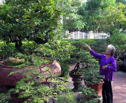 Bà Tôn Nữ Thị Hà chăm sóc vườn cây cảnh của mình tại Tịnh Gia Viên