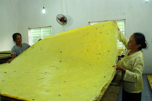 Tấm mền bông thành phẩm theo phương pháp do con tằm tự dệt. Tấm mền bông thành phẩm theo phương pháp do con tằm tự dệt.