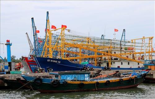 Đội tàu cá công suất lớn khai thác xa bờ của ngư dân. Ảnh: Nguyên Lý-TTXVN Đội tàu cá công suất lớn khai thác xa bờ của ngư dân. Ảnh: Nguyên Lý-TTXVN