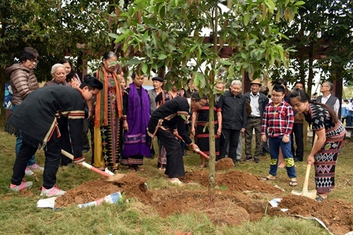 Sau khi kết nghĩa xong, những người tham dự buổi lễ sẽ ra sân cùng trồng cây Kơ nia với mong muốn tình anh em sẽ mãi bền chặt. Sau khi kết nghĩa xong, những người tham dự buổi lễ sẽ ra sân cùng trồng cây Kơ nia với mong muốn tình anh em sẽ mãi bền chặt.