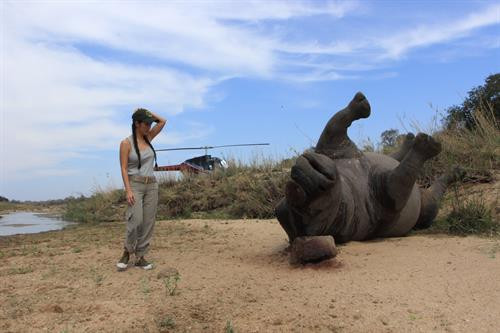 “Sứng tê giác không những không giúp họ ấn tượng hơn,mà thậm chí còn là biểu hiện của sự tàn nhẫn và đáng xấu hổ“ (ảnh Hồng Nhung cạnh con tê giác)