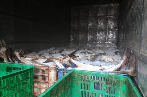 Hiện tượng cá chết hàng loạt trên sông Chà Và từng xảy ra hồi cuối năm 2016. (Ảnh: Hoàng Nhị/TTXVN) Hiện tượng cá chết hàng loạt trên sông Chà Và từng xảy ra hồi cuối năm 2016. (Ảnh: Hoàng Nhị/TTXVN)