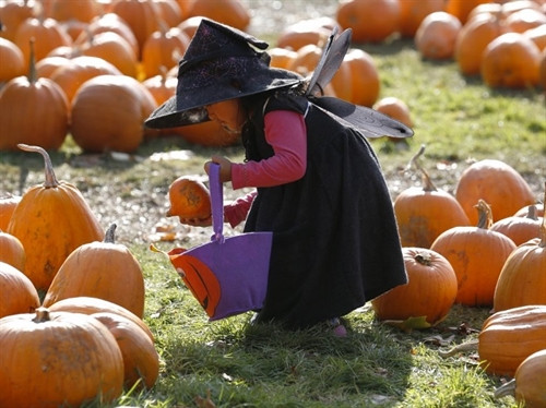 25 bức ảnh nhận "bão like" của năm ảnh 19